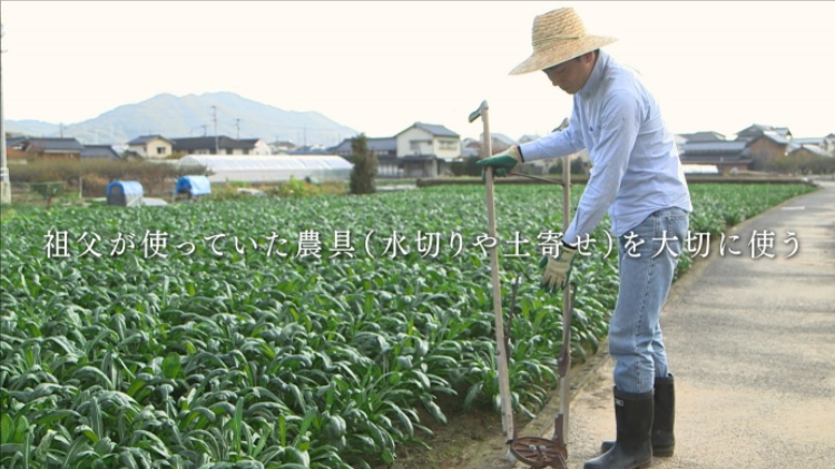 綾瀬はるか　実家　畑